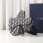 Dior Saddle Bag