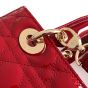 Medium Lady Dior Bag