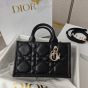 Mini Dior Book Tote