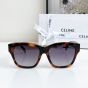Celine Triomphe 09 Sunglasses in Acetate