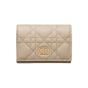 Dior Caro Glycine Wallet