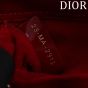 Dior Small Lady D-Joy Bag