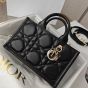 Mini Dior Book Tote