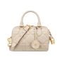 Dior Groove 20 Bag