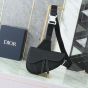 Dior Saddle Bag