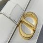 Dior Miss Montaigne Mini Bag