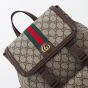 Gucci Ophidia small backpack