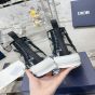 Dior B23 High-Top Sneaker