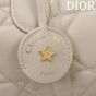 Dior Groove 20 Bag
