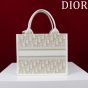 Small Dior Book Tote