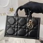 Mini Dior Book Tote