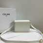 Celine TEEN TRIOMPHE BAG IN SHINY CALFSKIN