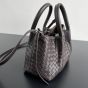 Bottega Veneta Small Pinacoteca