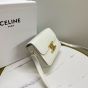 Celine TEEN TRIOMPHE BAG IN SHINY CALFSKIN