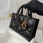 Mini Dior Book Tote