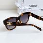Celine Triomphe 09 Sunglasses in Acetate
