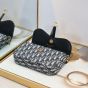 Dior Medium Saddle Pouch with Chain