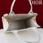 Small Dior Book Tote