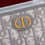 Dior 30 Montaigne Dea Pouch