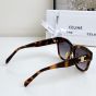 Celine Triomphe 09 Sunglasses in Acetate