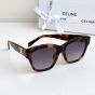 Celine Triomphe 09 Sunglasses in Acetate