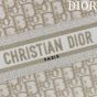Small Dior Book Tote