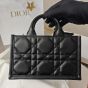 Mini Dior Book Tote