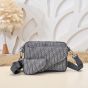 Dior Saddle Triple Pouch