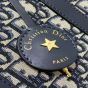 Dior Groove 25 Bag