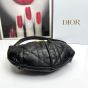 Walk in Dior Purse