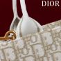Small Dior Book Tote
