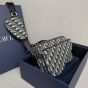Dior Saddle Triple Pouch
