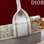 Small Dior Book Tote