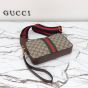 Gucci Ophidia small crossbody bag