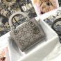 Mini Lady Dior Bag