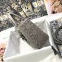 Mini Lady Dior Bag