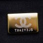 CHANEL 25 Medium Handbag