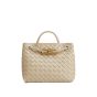Bottega Veneta Small Andiamo