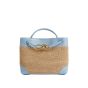 Bottega Veneta Small Andiamo