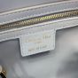 Dior Groove 20 Bag