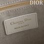 Small Dior Book Tote