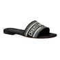 Dior Dway Slide