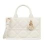 Mini Dior Book Tote