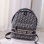 Dior Travel Backpack
