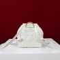 Small Dior Caro Backpack