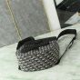 Dior Gallop Backpack