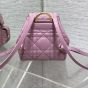 Small Dior Caro Backpack