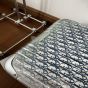 DIOR AND RIMOWA Carry-On Luggage