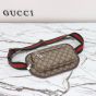Gucci Small belt bag