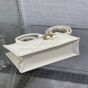 Mini Dior Book Tote